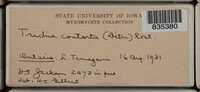Image Associated With the Occurence